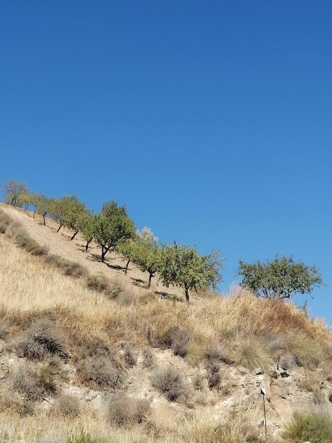 Casa de Férias Luby Cortijo Eras *